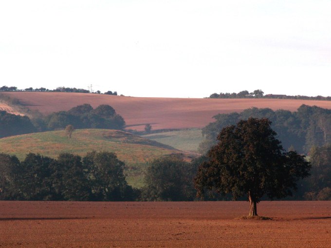 AUTUMN WOLDS 07 013